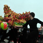 白豹武術團新年表演-6